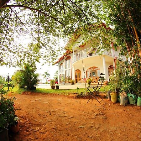 Summit View Bed & Breakfast Kandy Ngoại thất bức ảnh