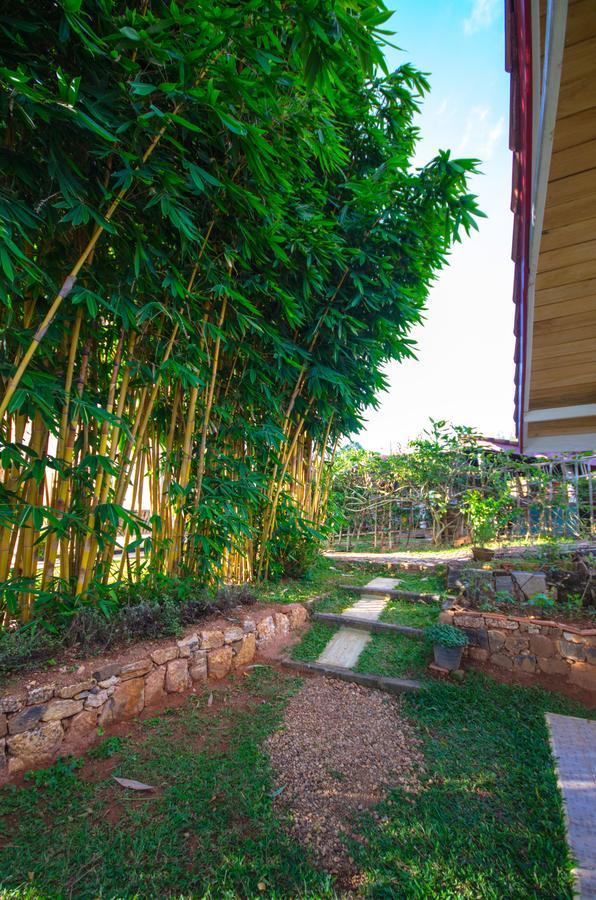 Summit View Bed & Breakfast Kandy Ngoại thất bức ảnh