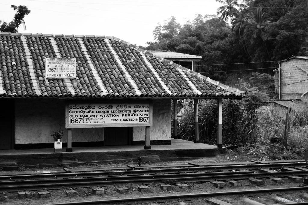 Summit View Bed & Breakfast Kandy Ngoại thất bức ảnh