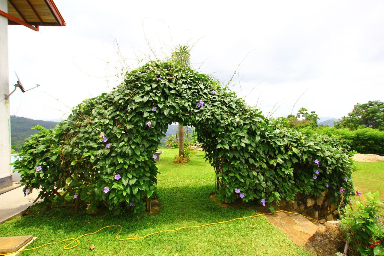 Summit View Bed & Breakfast Kandy Ngoại thất bức ảnh