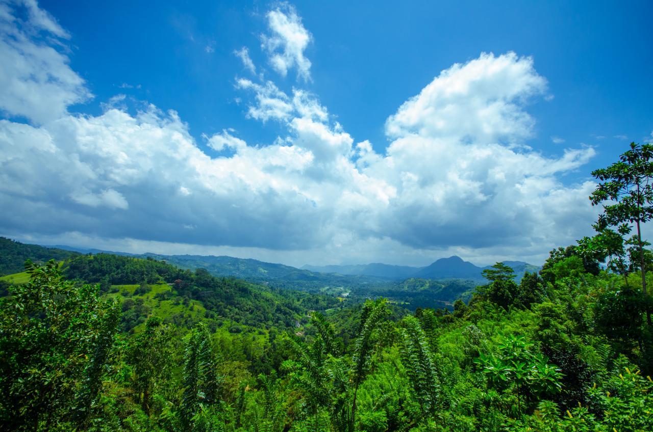 Summit View Bed & Breakfast Kandy Ngoại thất bức ảnh