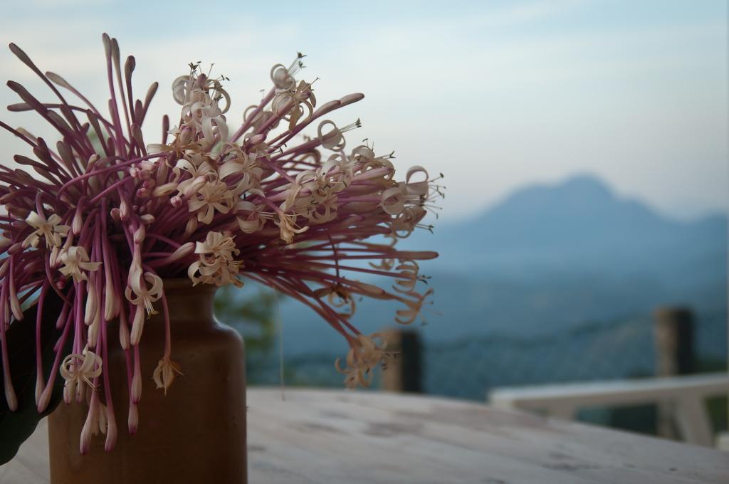 Summit View Bed & Breakfast Kandy Ngoại thất bức ảnh