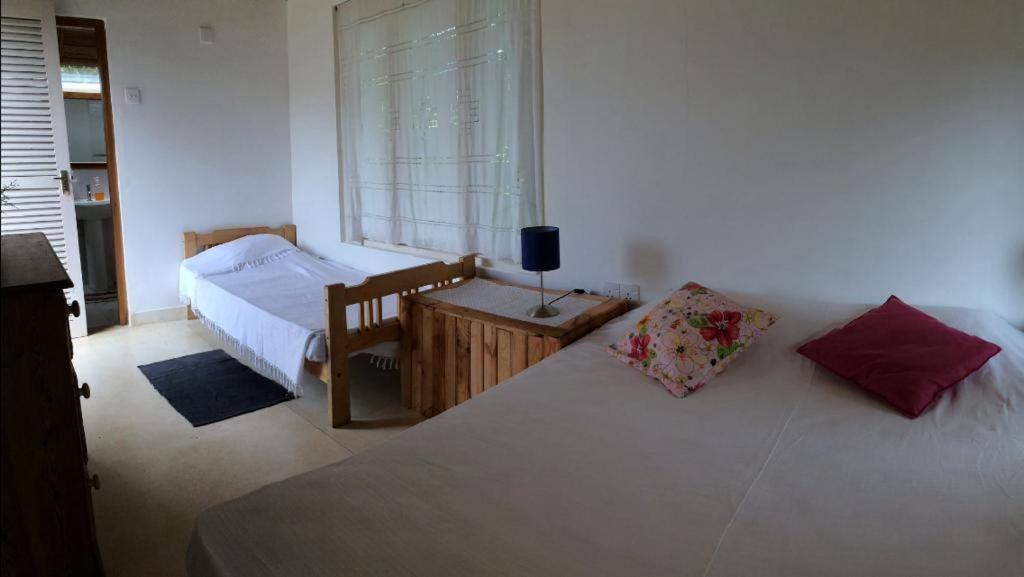 Summit View Bed & Breakfast Kandy Ngoại thất bức ảnh